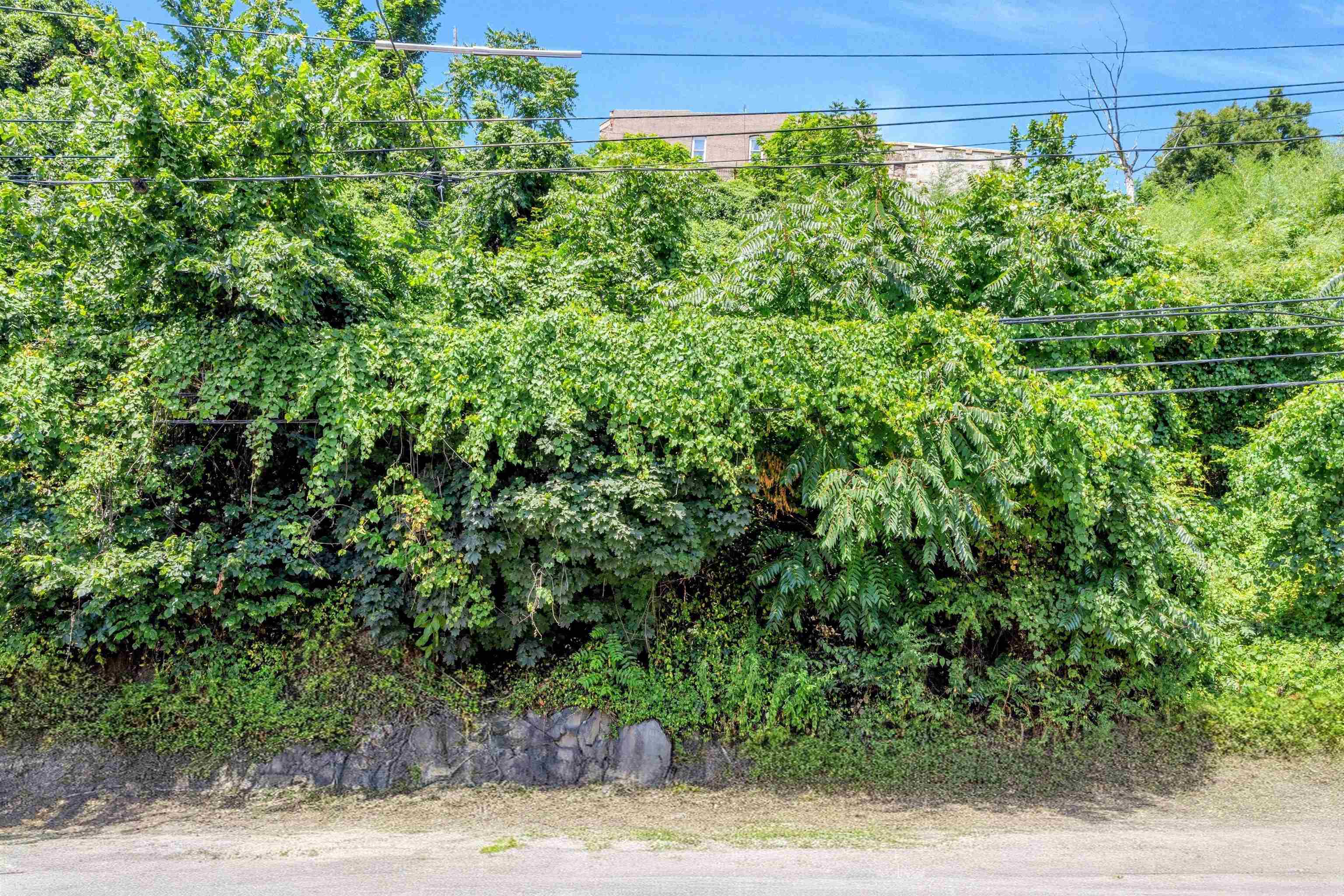 55 HACKENSACK PLANK RD