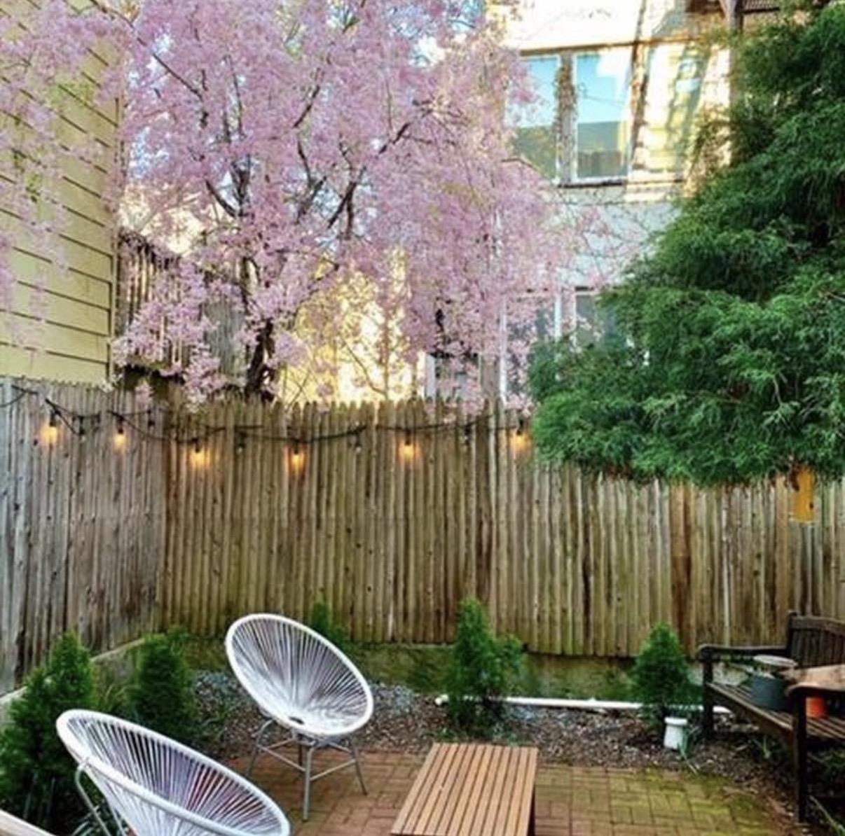 503 PARK AVE Unit: 2