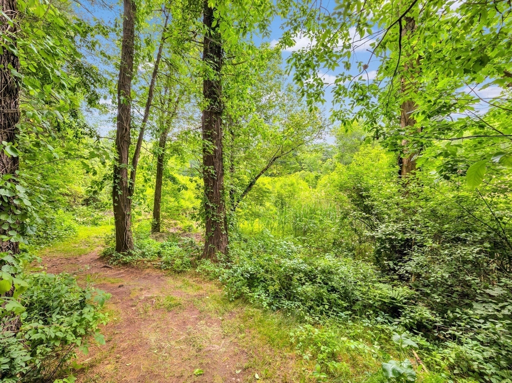 14 Harriman Rd