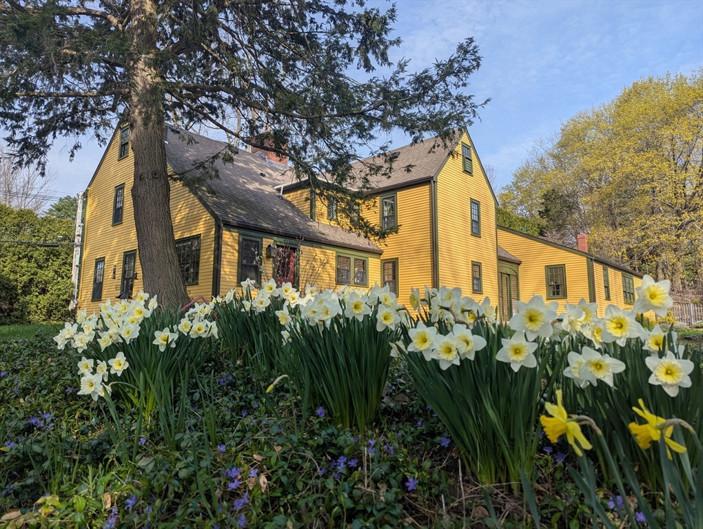 46 Locust St
