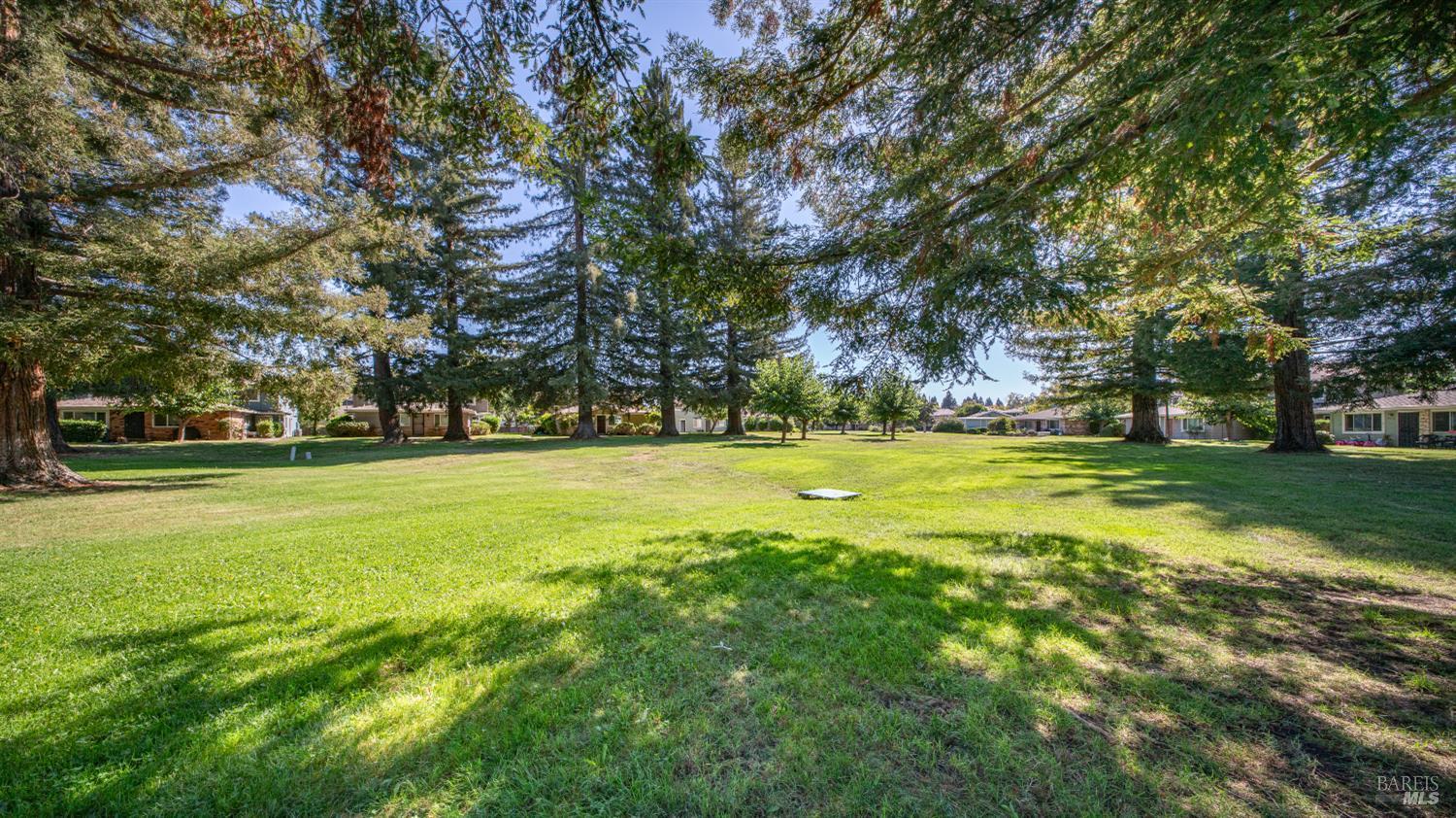 1870 Dorado Court