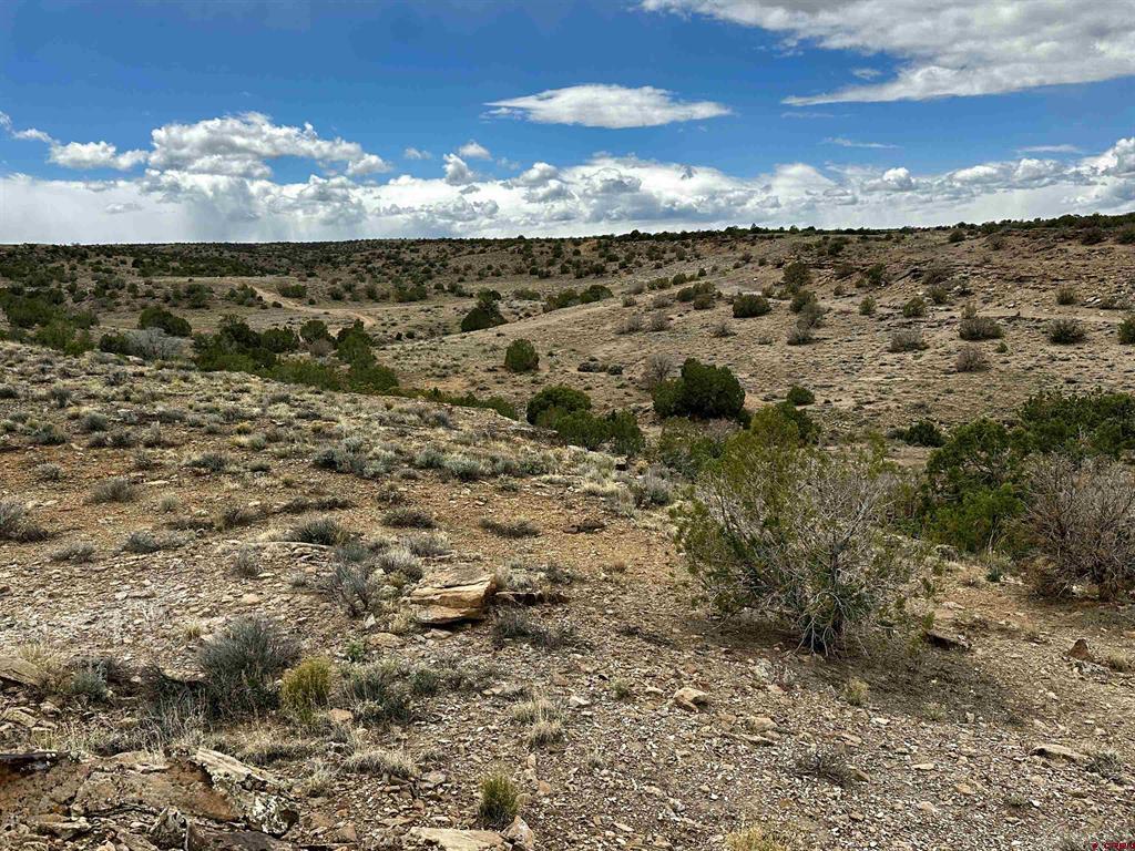 51230 & 51234 Cactus Trail