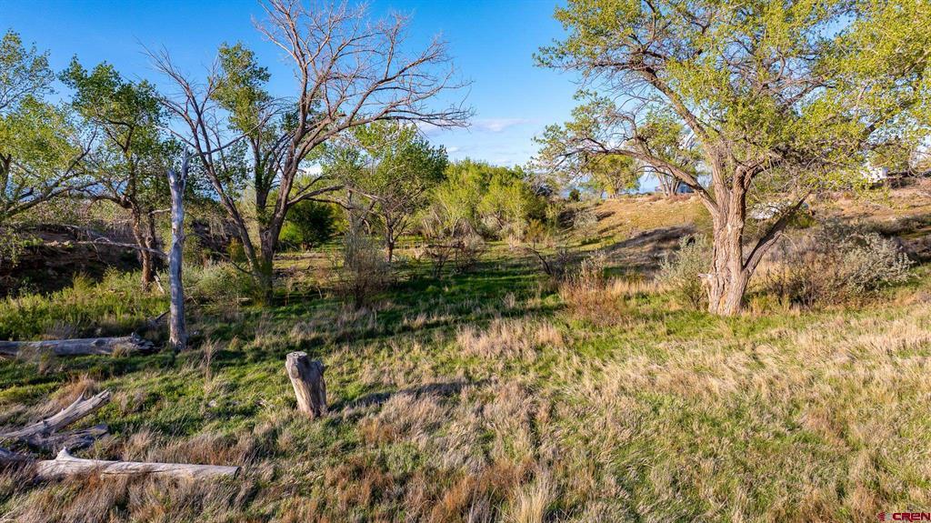 51230 & 51234 Cactus Trail