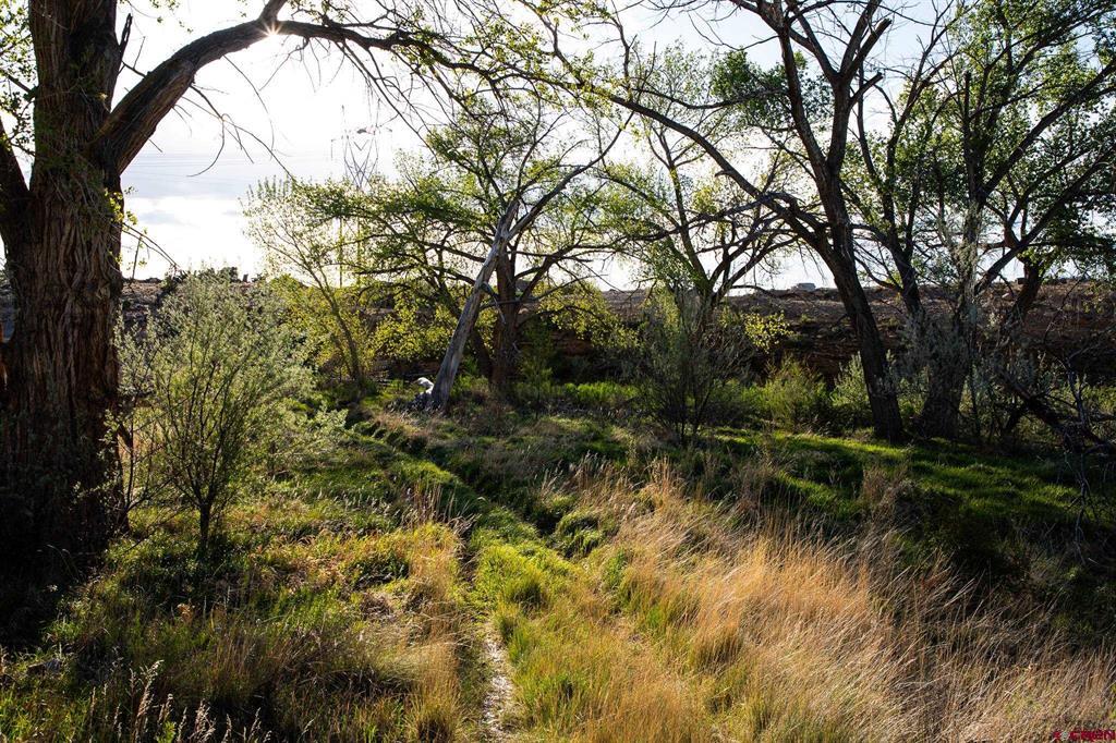 51230 & 51234 Cactus Trail