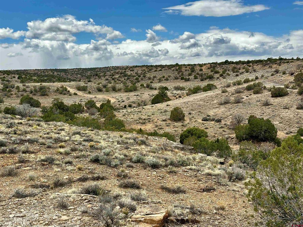51230 & 51234 Cactus Trail