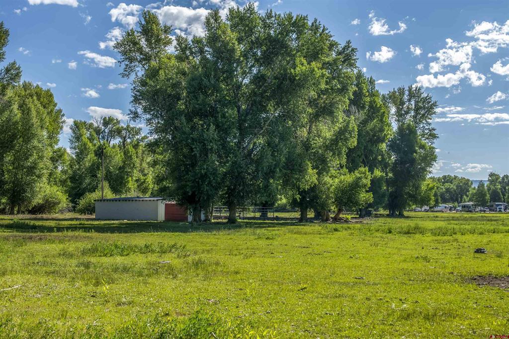 Rainbow Acres Lane