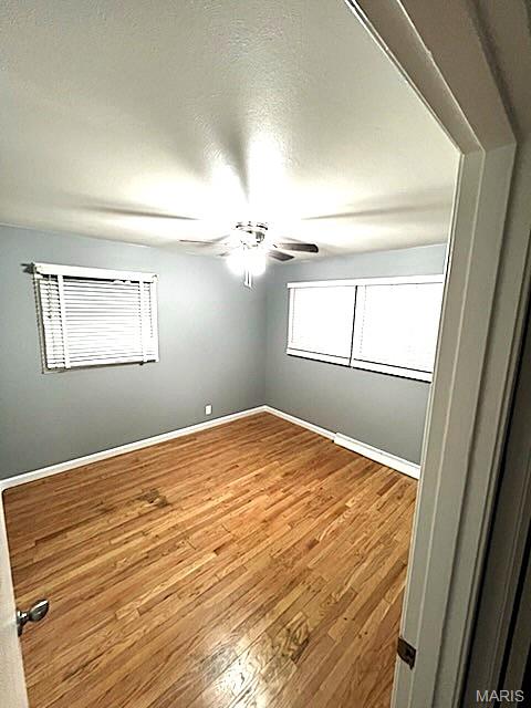 9746 Newton Drive