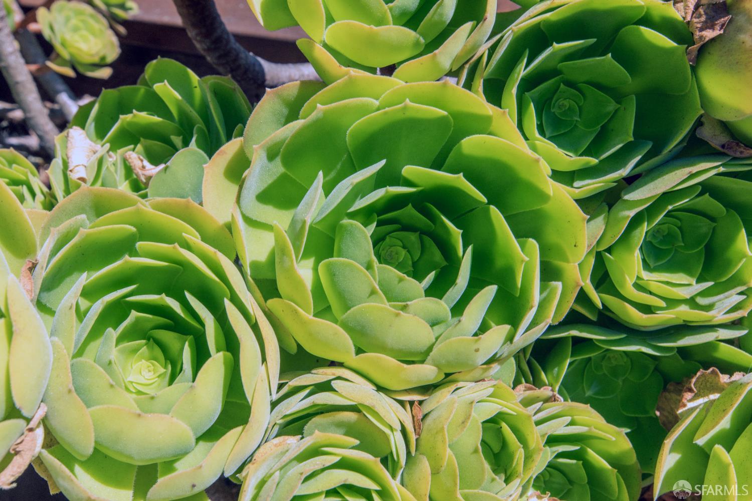 219 Lisbon Street, San Francisco