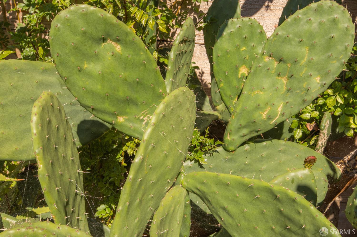 219 Lisbon Street, San Francisco