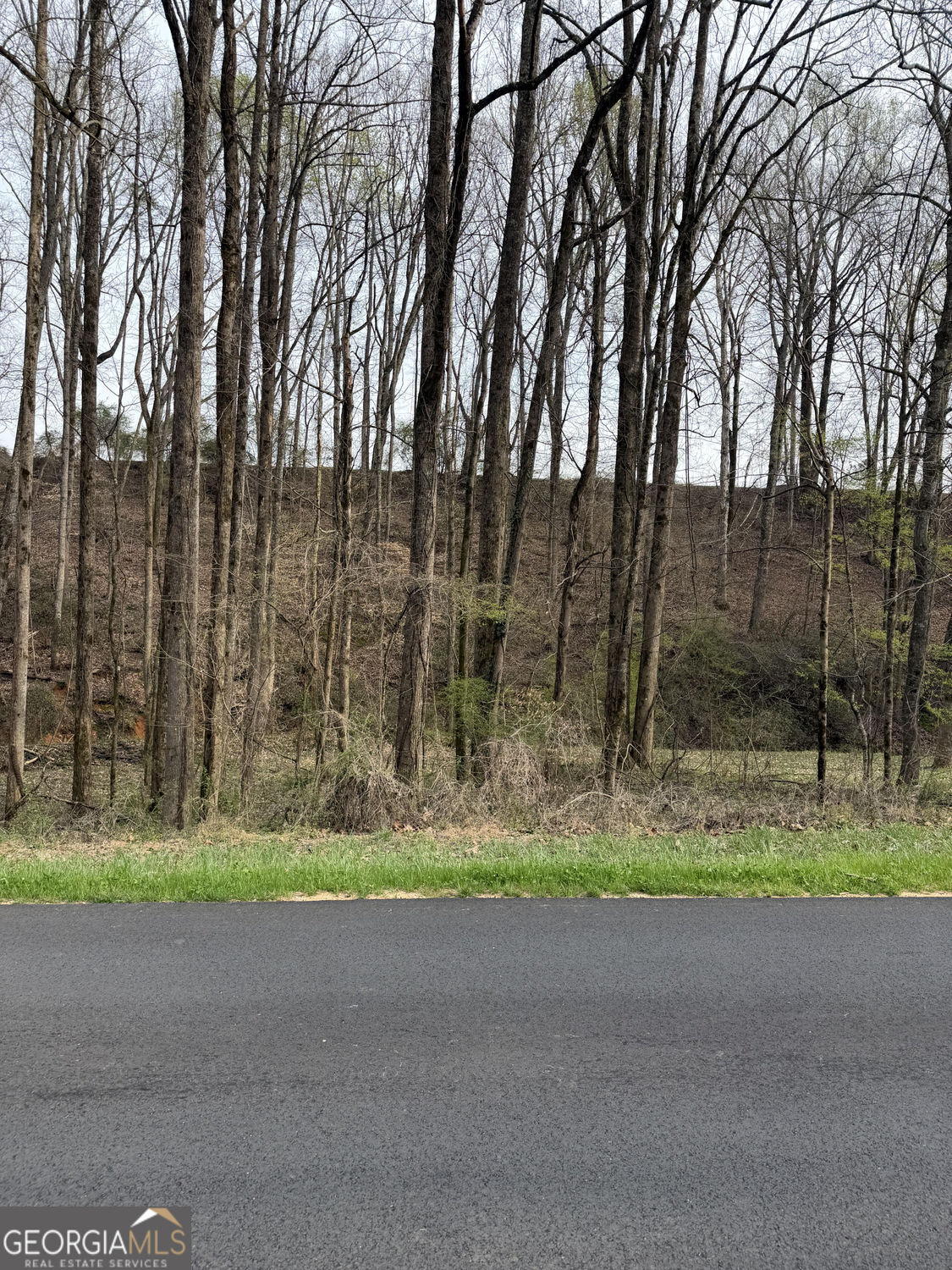 3400 Cagle Road