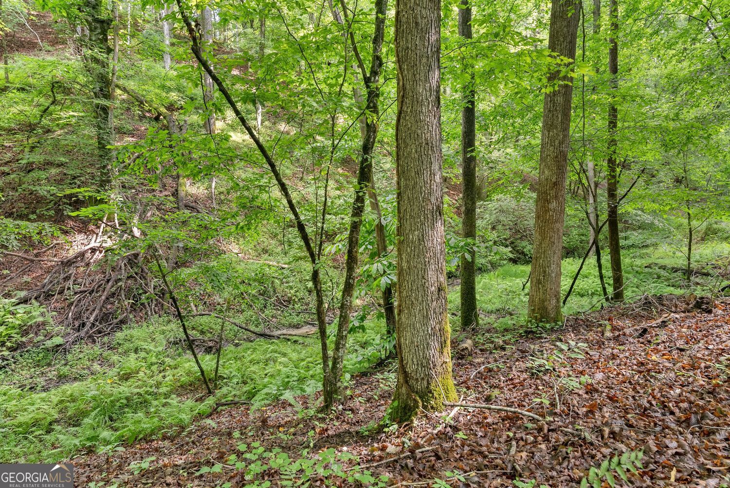 0 Long Branch Road LOT 120