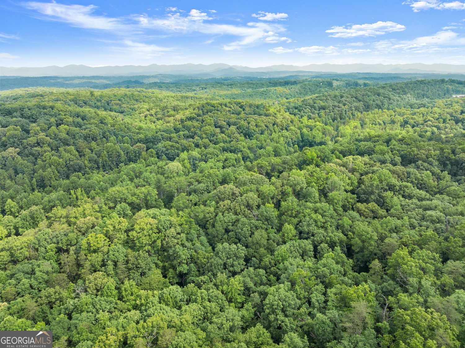 0 Long Branch Road LOT 120