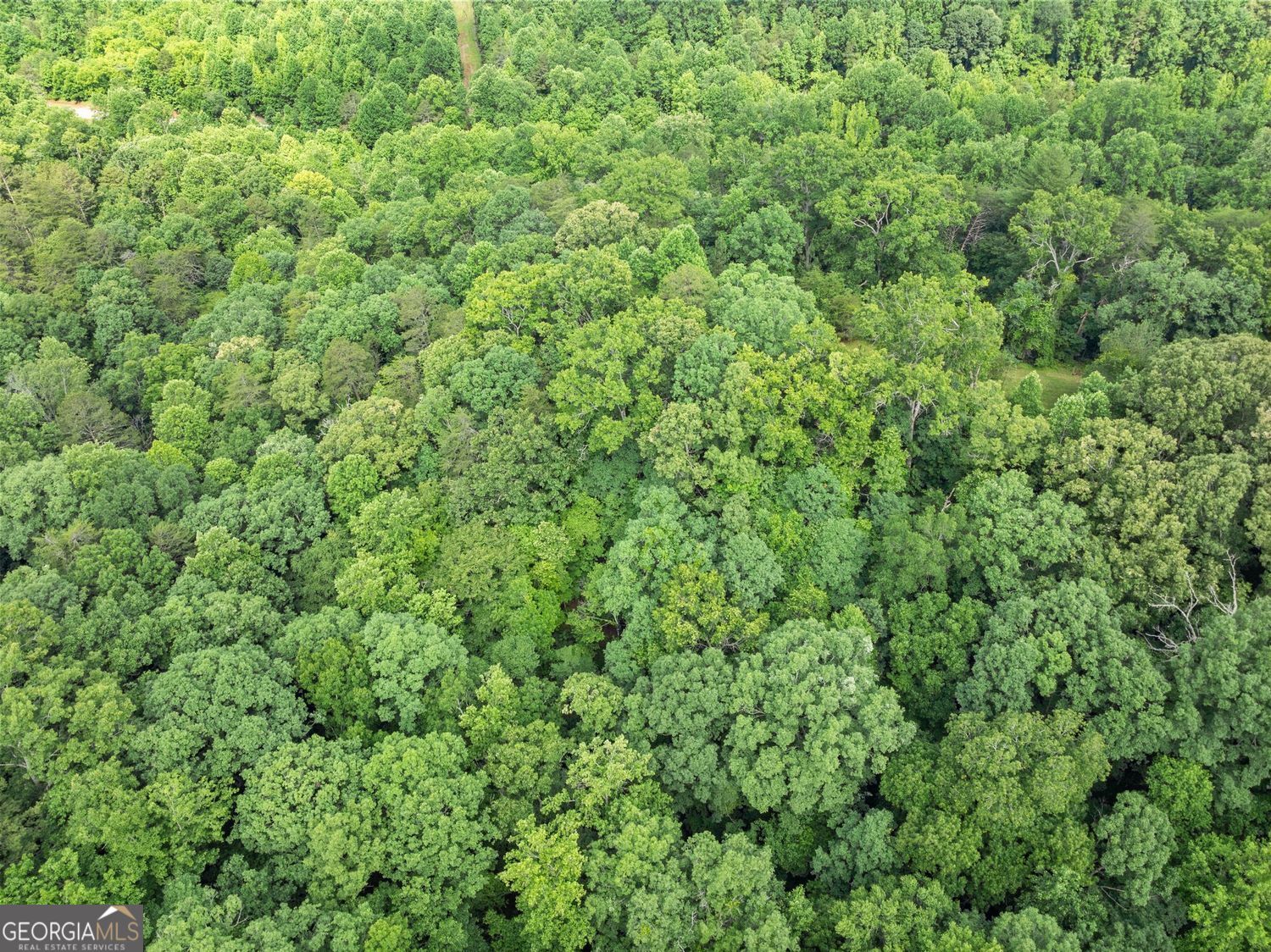0 Long Branch Road LOT 120