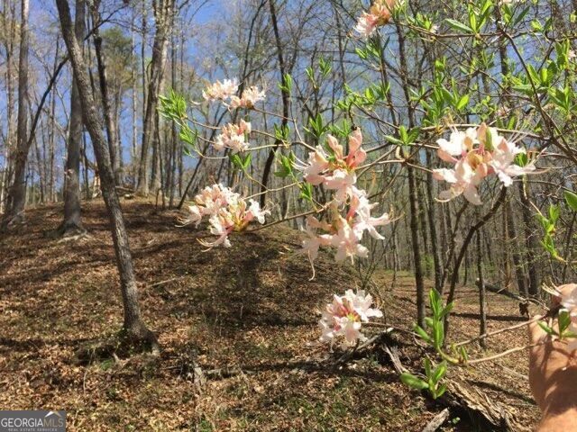 0 Long Branch Road LOT 120