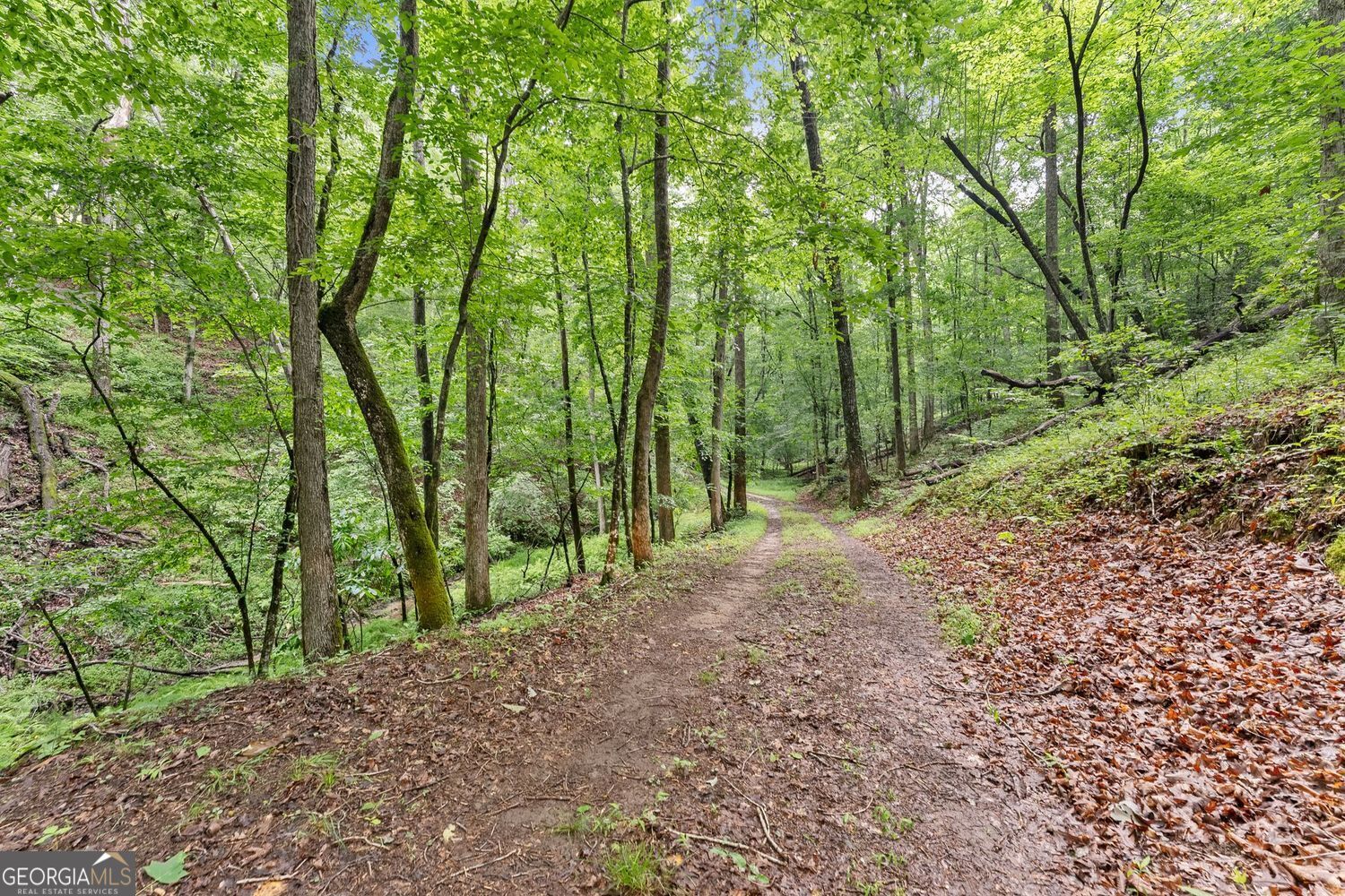 0 Long Branch Road LOT 120