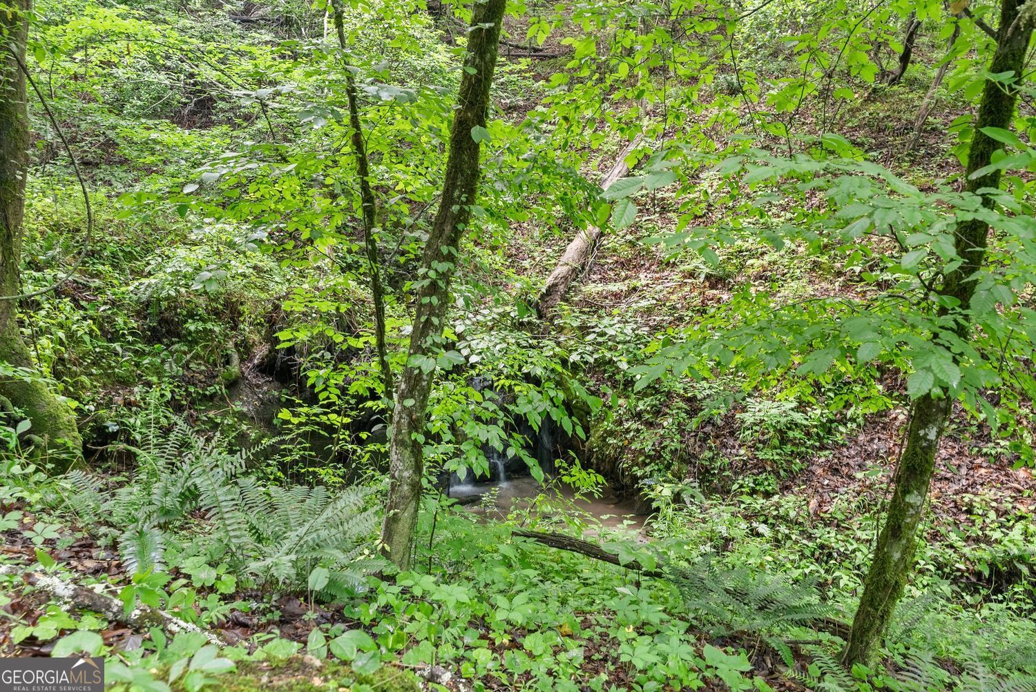 0 Long Branch Road LOT 120