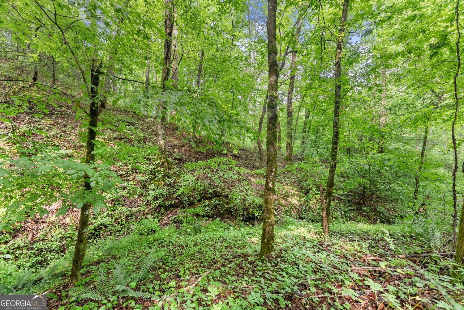 0 Long Branch Road LOT 120