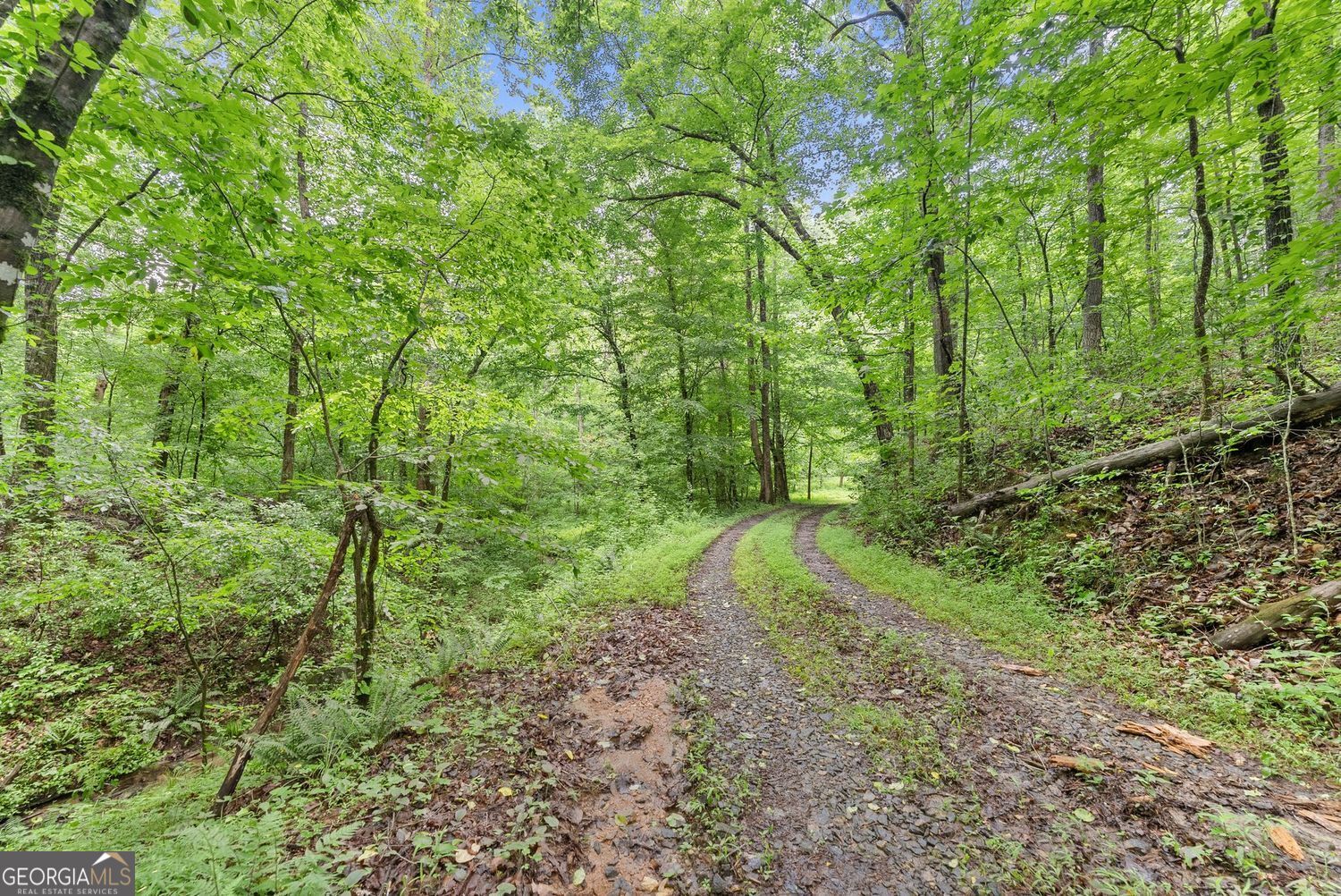 0 Long Branch Road LOT 120