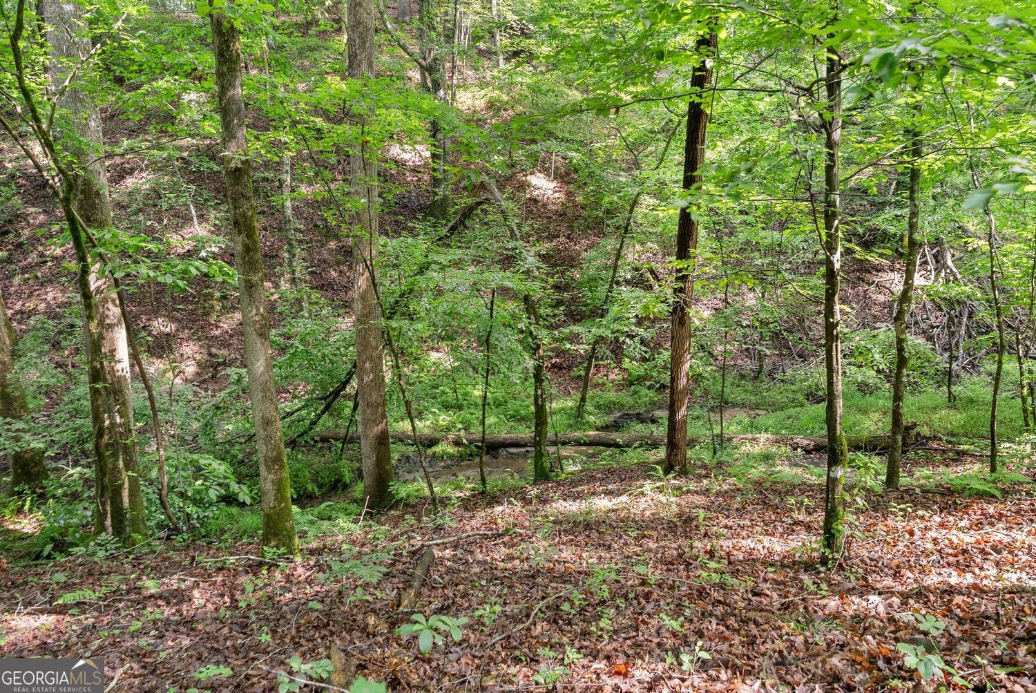 0 Long Branch Road LOT 120