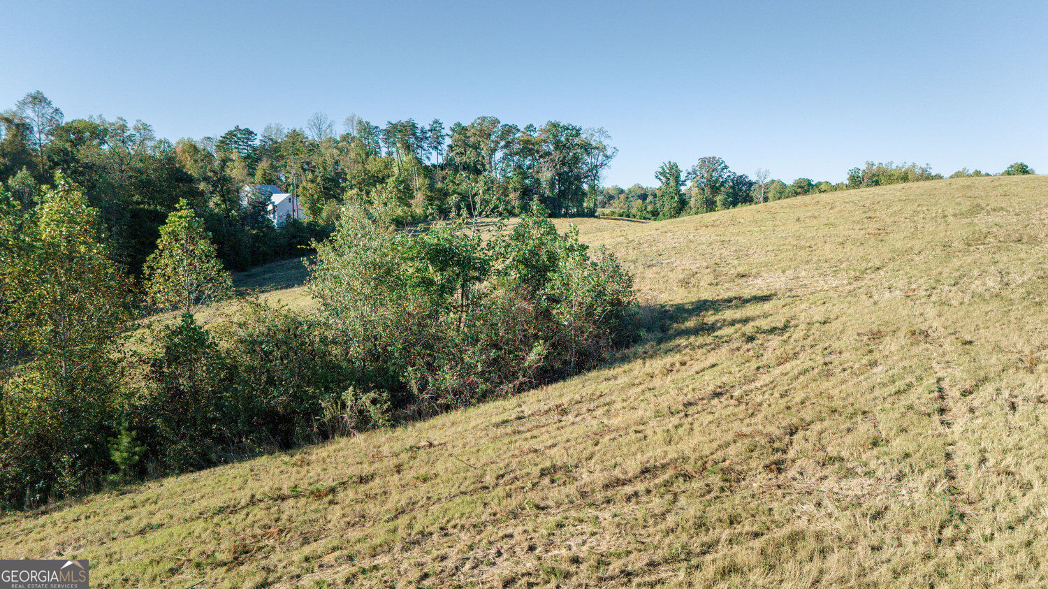 4228 Clarks Bridge Road