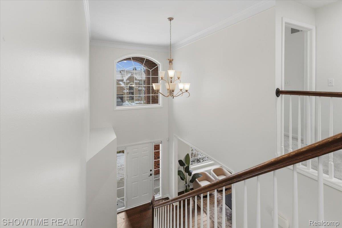3699 Connors Drive