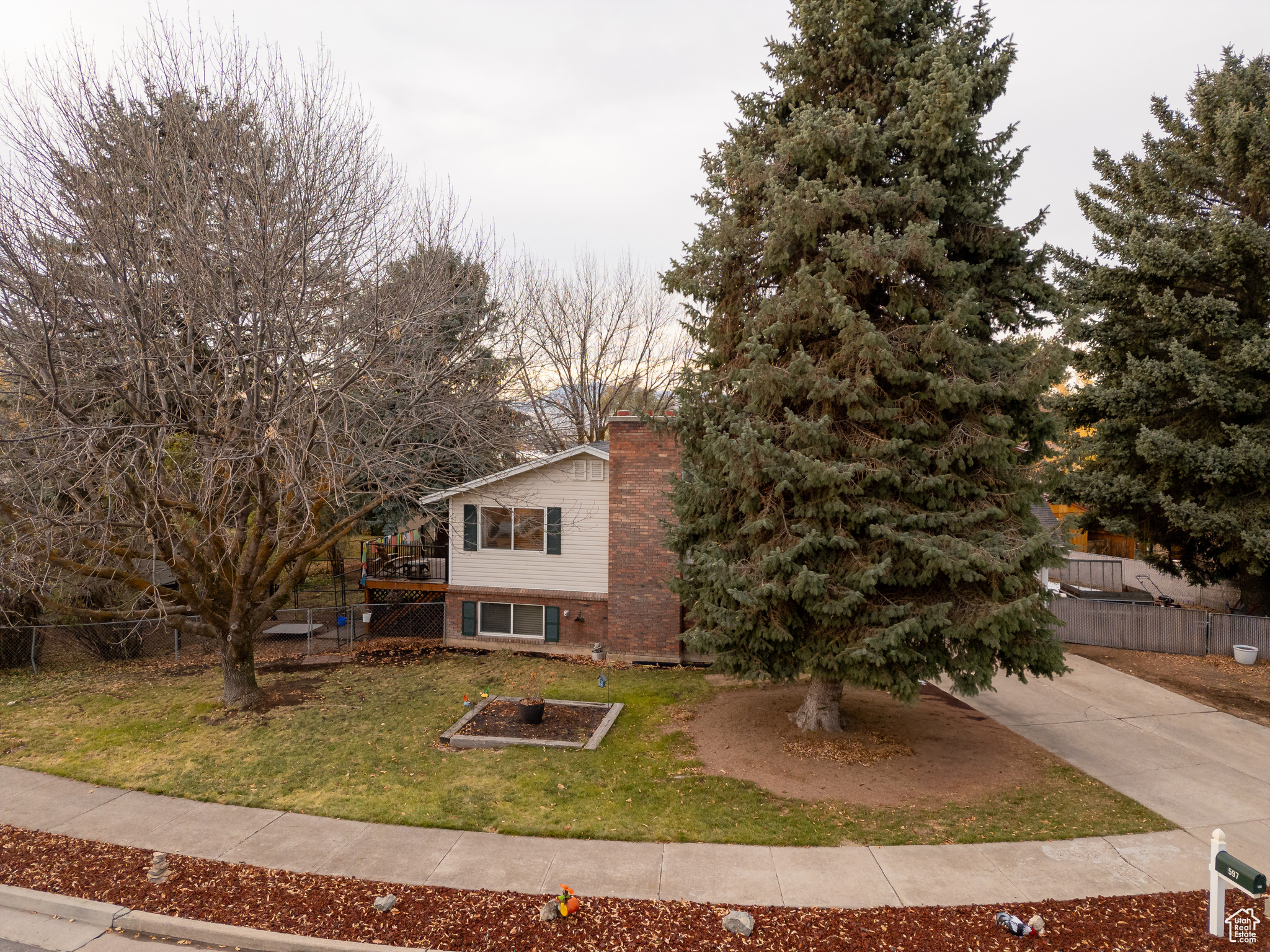 597 MAPLE DR