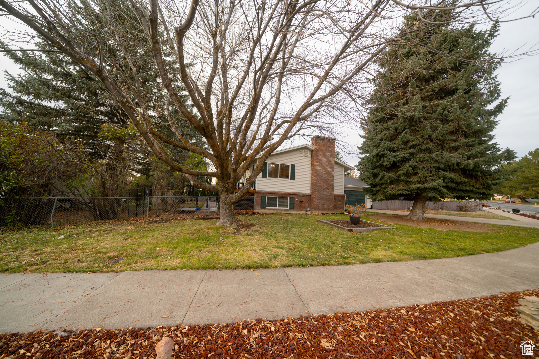 597 MAPLE DR
