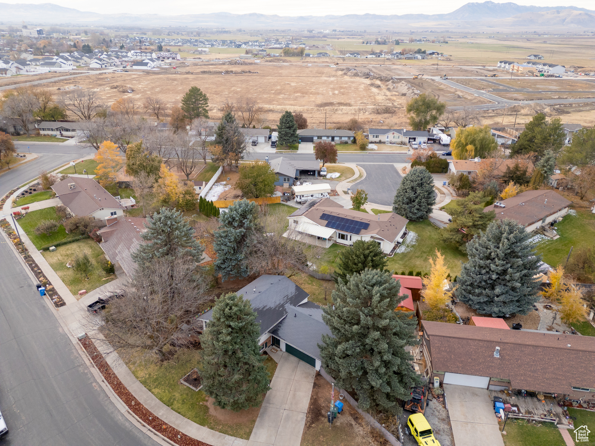 597 MAPLE DR