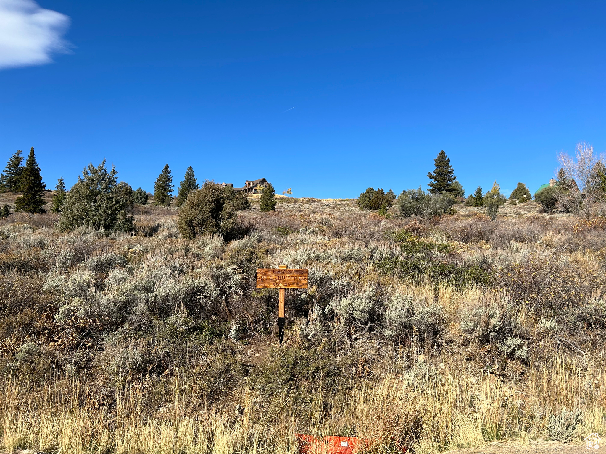 725 S JUNIPER DR Unit: 29