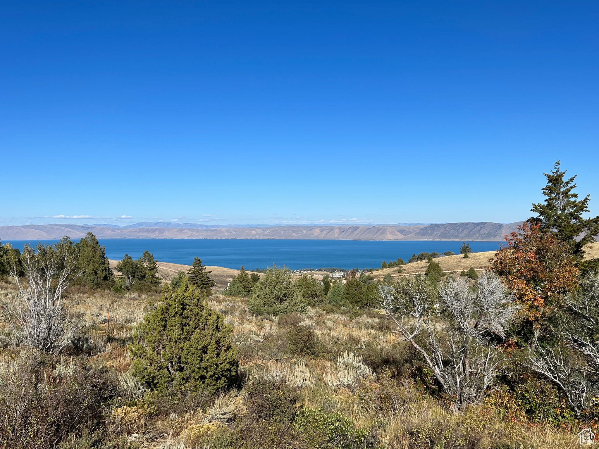 725 S JUNIPER DR Unit: 29