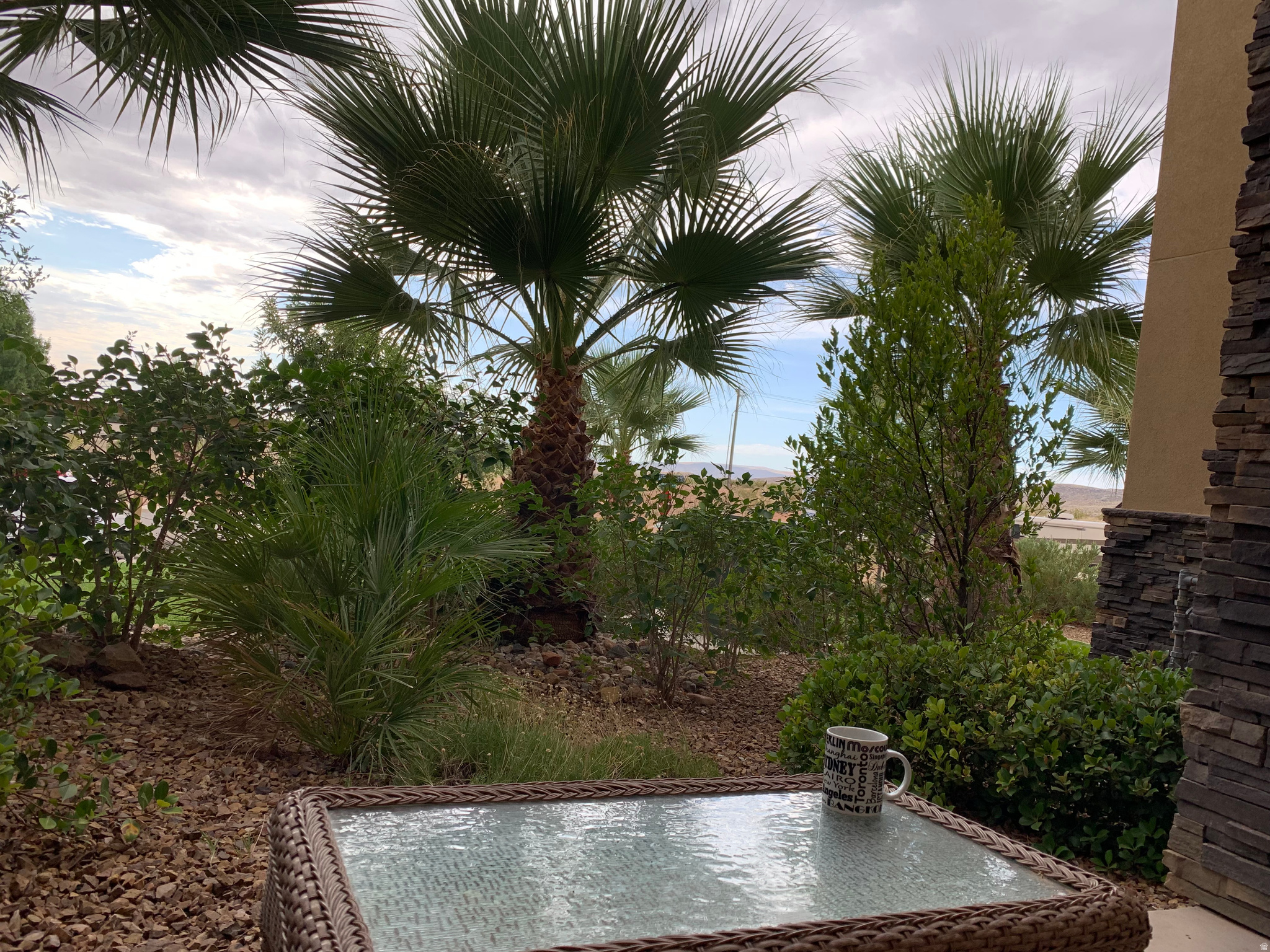 1111 S GAP CANYON PKWY #W108