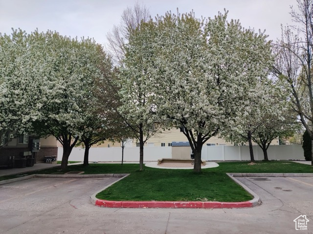 1030 N 130 W #100