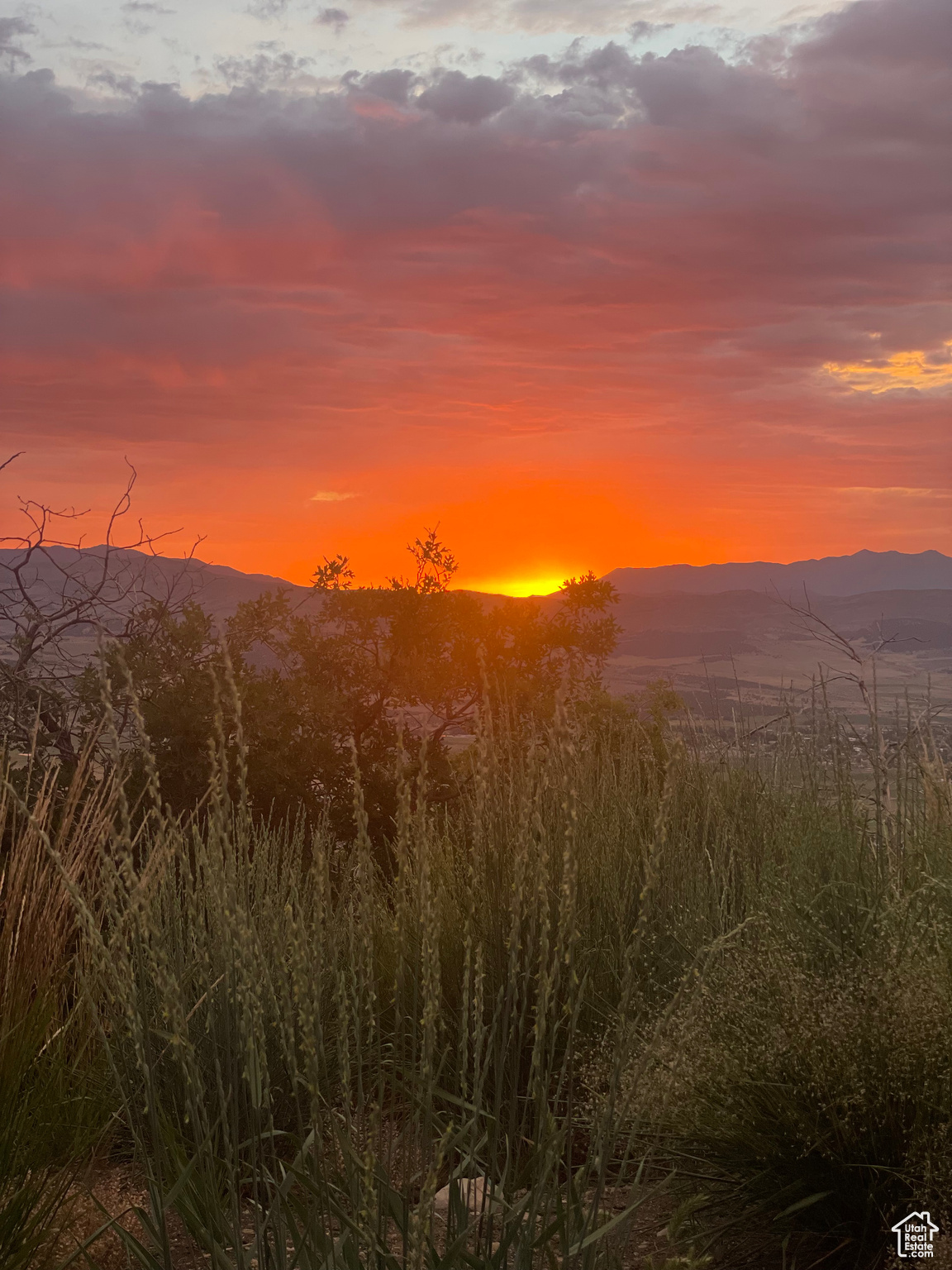 3 PINE NUT WAY Unit: M3 H8