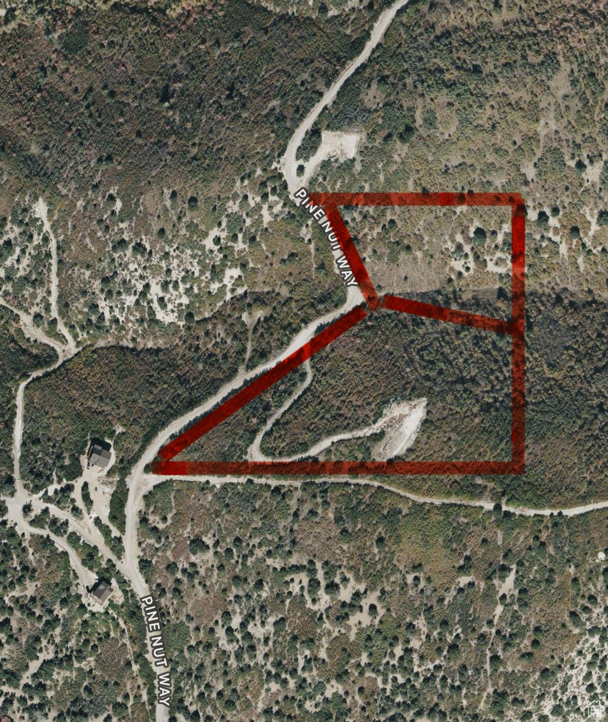 3 PINE NUT WAY Unit: M3 H8