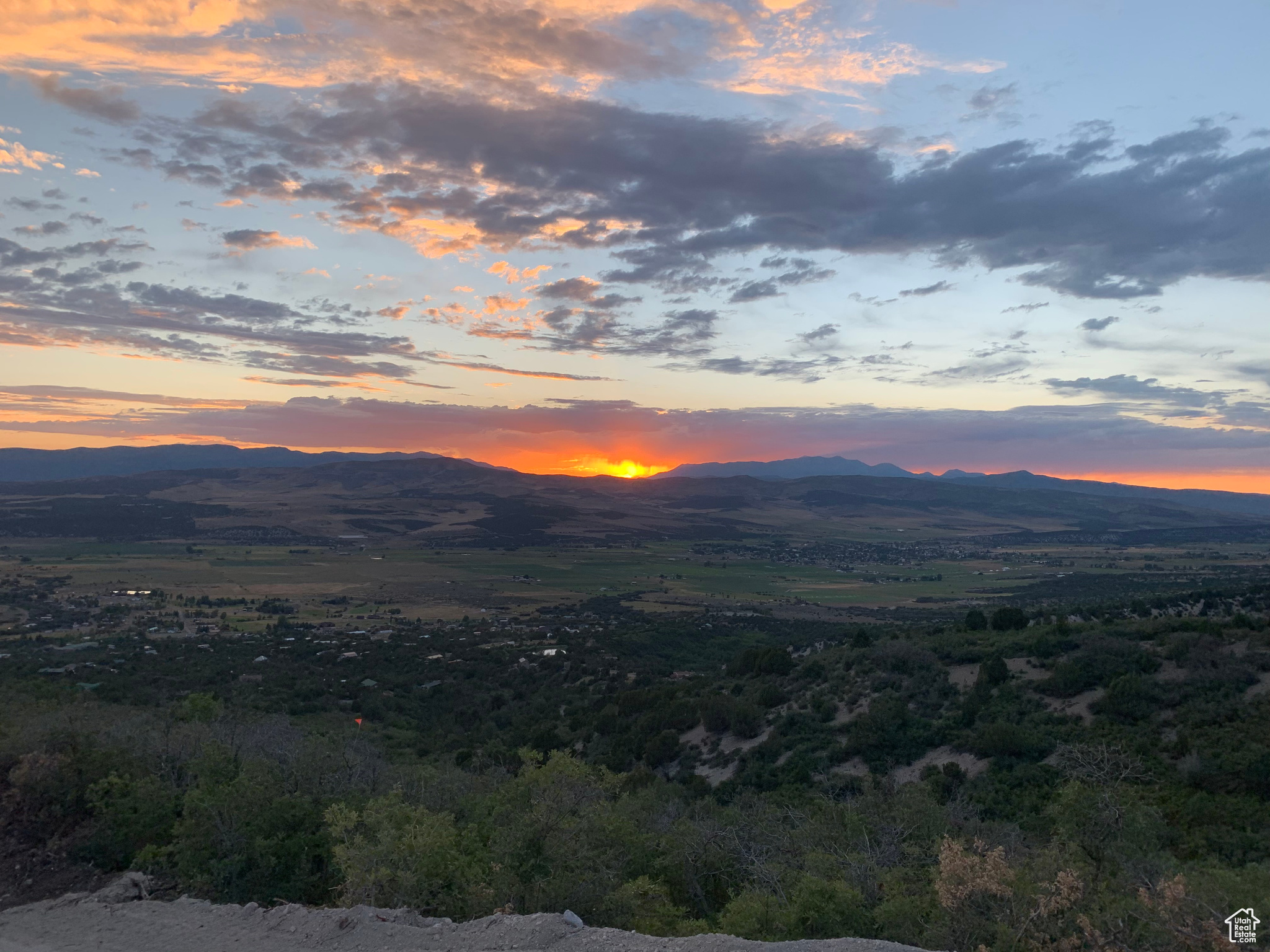 3 PINE NUT WAY Unit: M3 H8