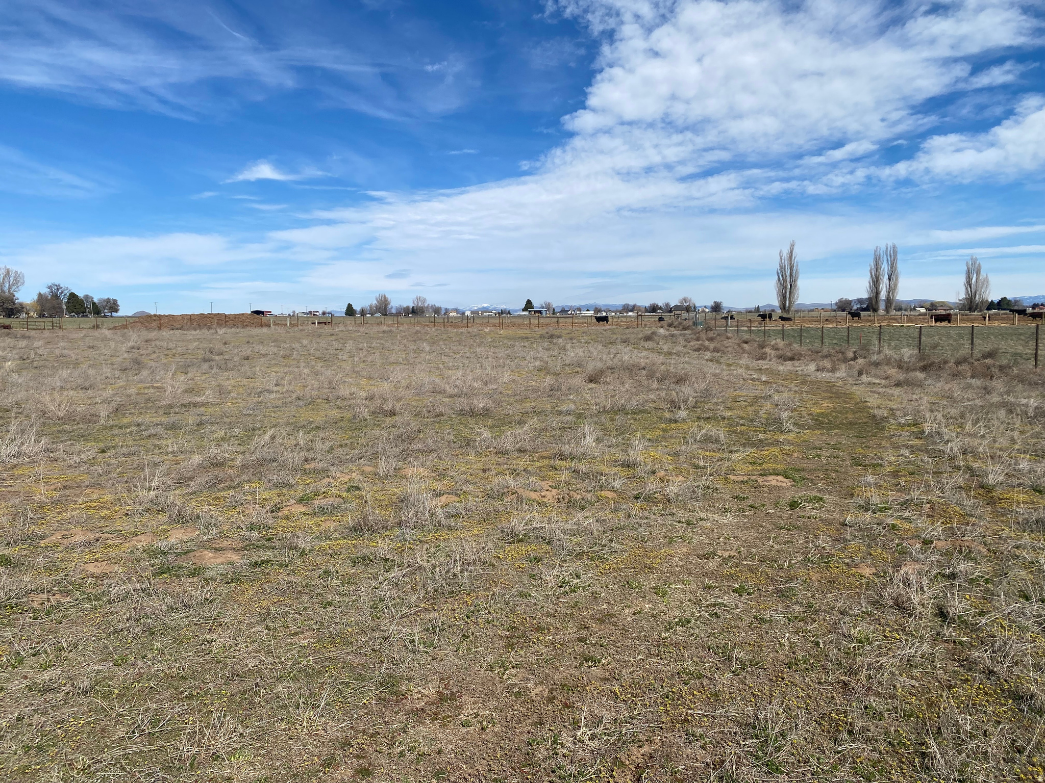 1225 S 600 W Unit: 2