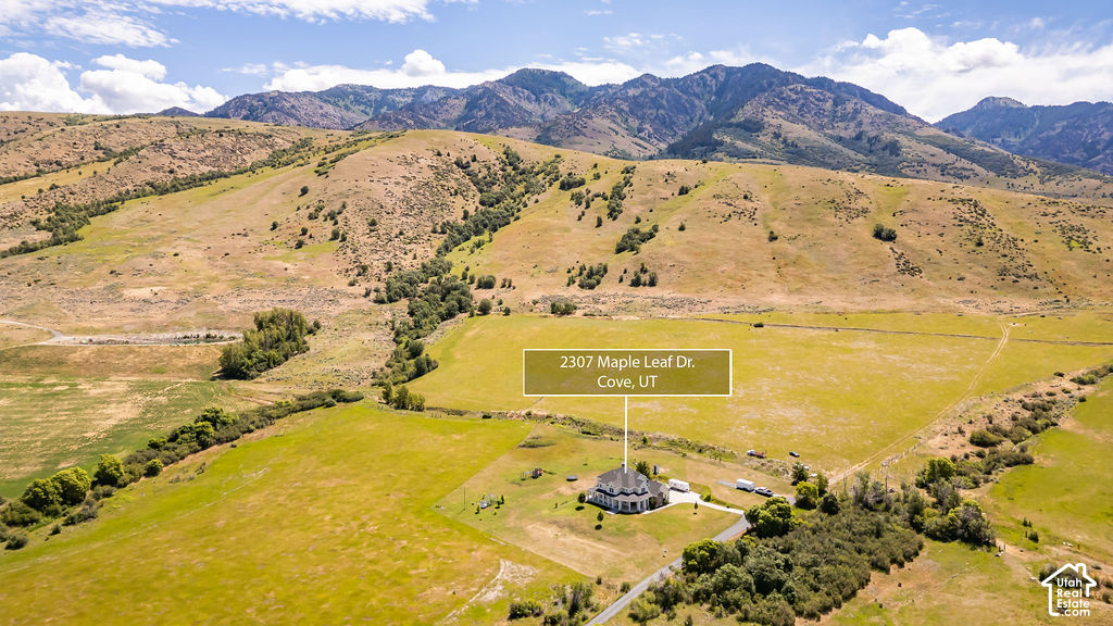 2307 MAPLE LEAF DR