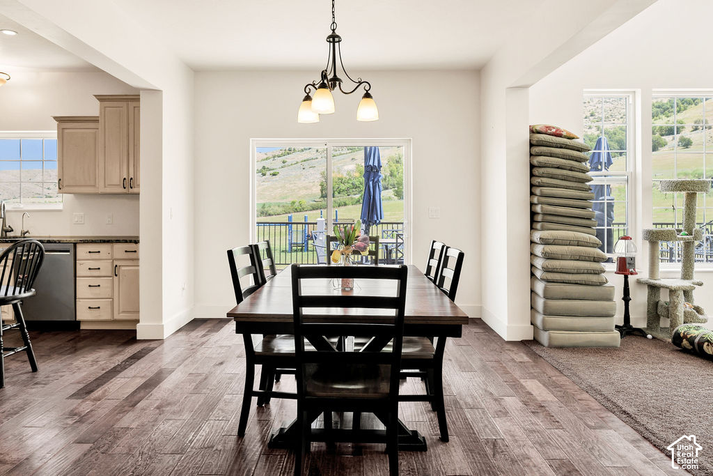 2307 MAPLE LEAF DR