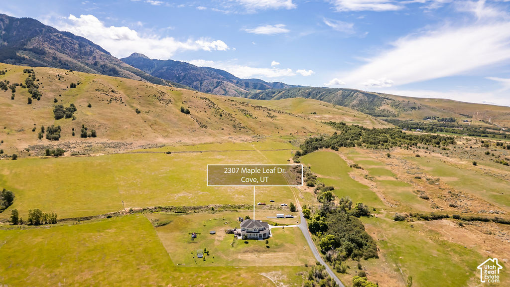2307 MAPLE LEAF DR