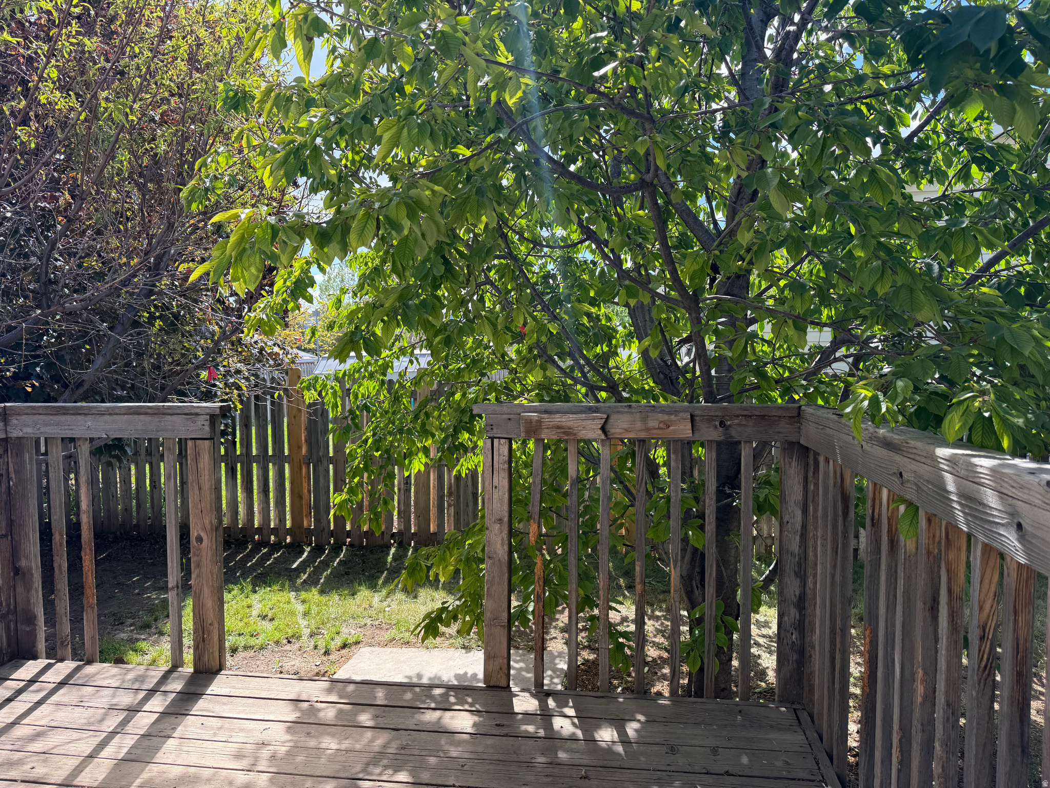 44 WAPITI LOOP
