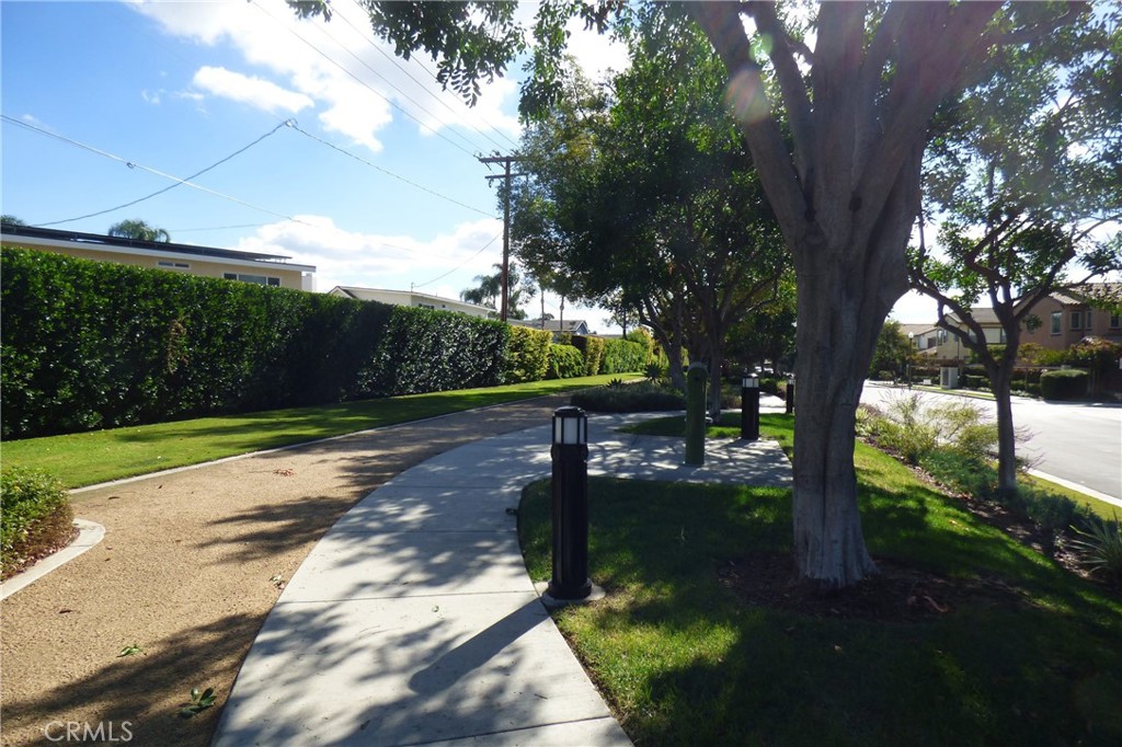 3596 La Mancha Drive