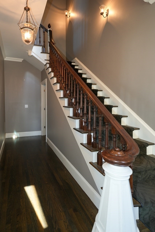 5 Chapman Street # 5