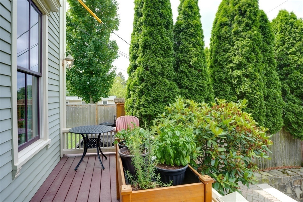 5 Chapman Street # 5