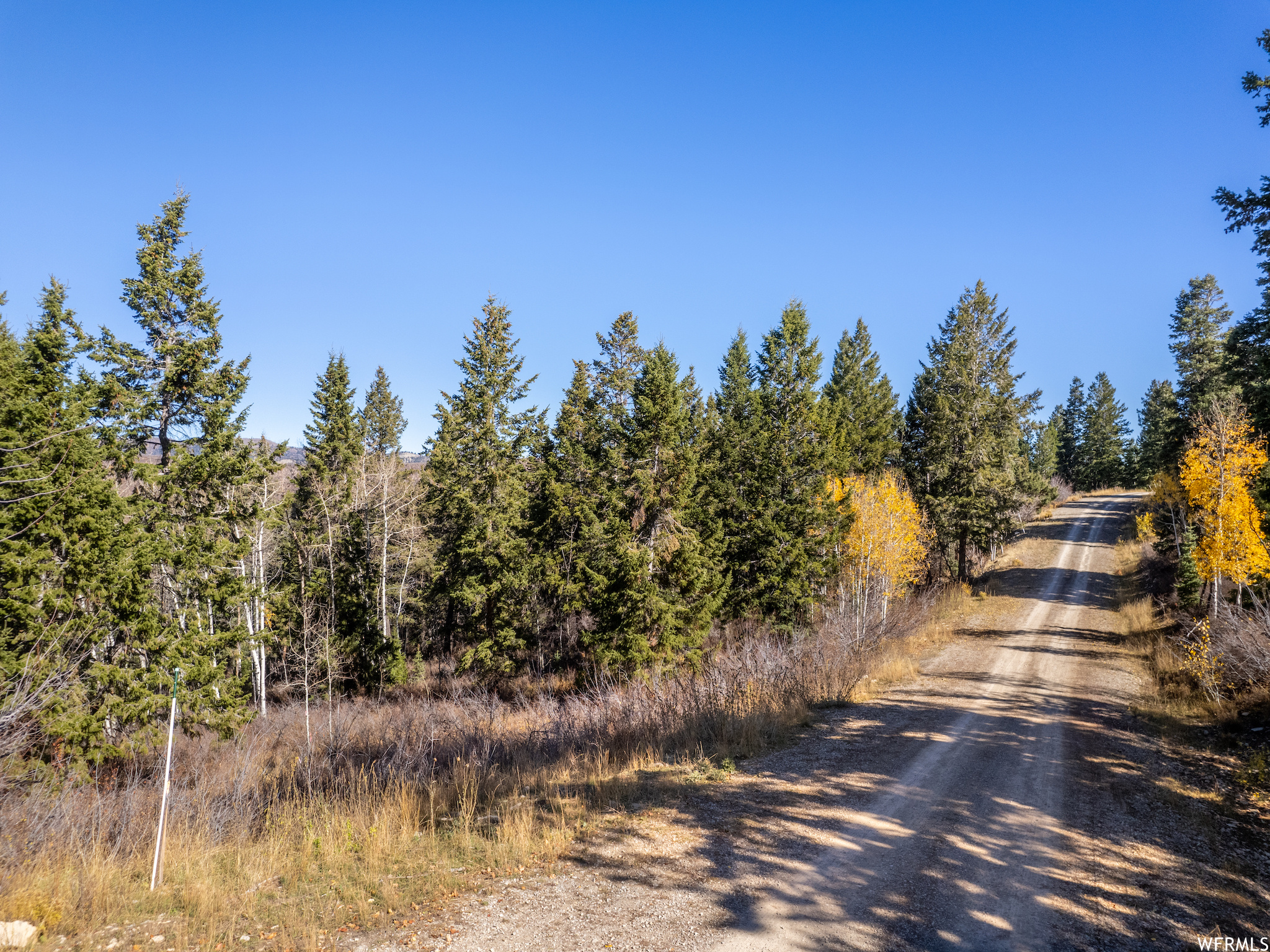 22284 E ALTA DR. Unit: D76