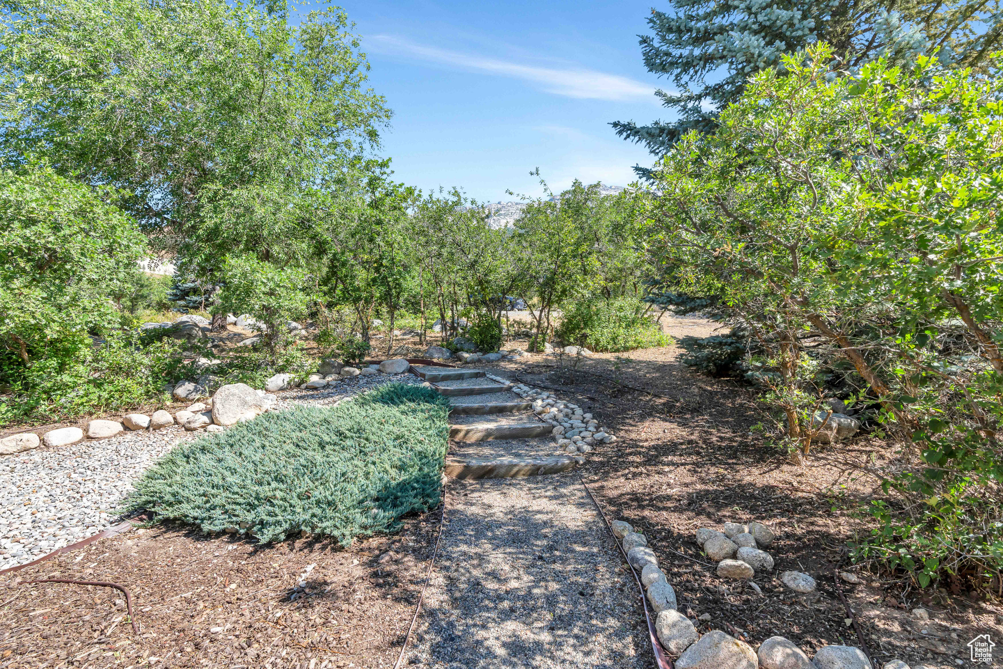 4251 ALPINE COVE DR