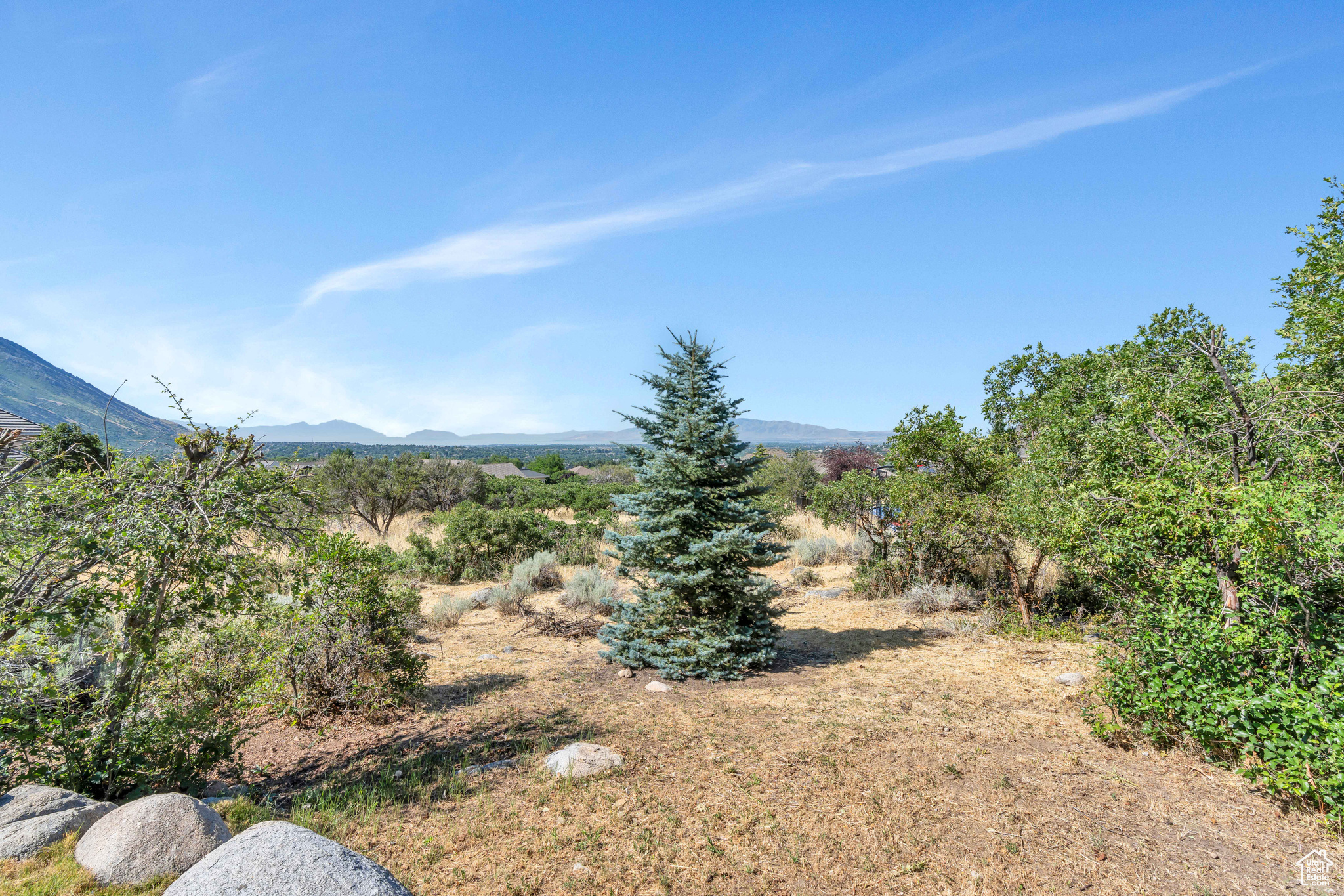 4251 ALPINE COVE DR