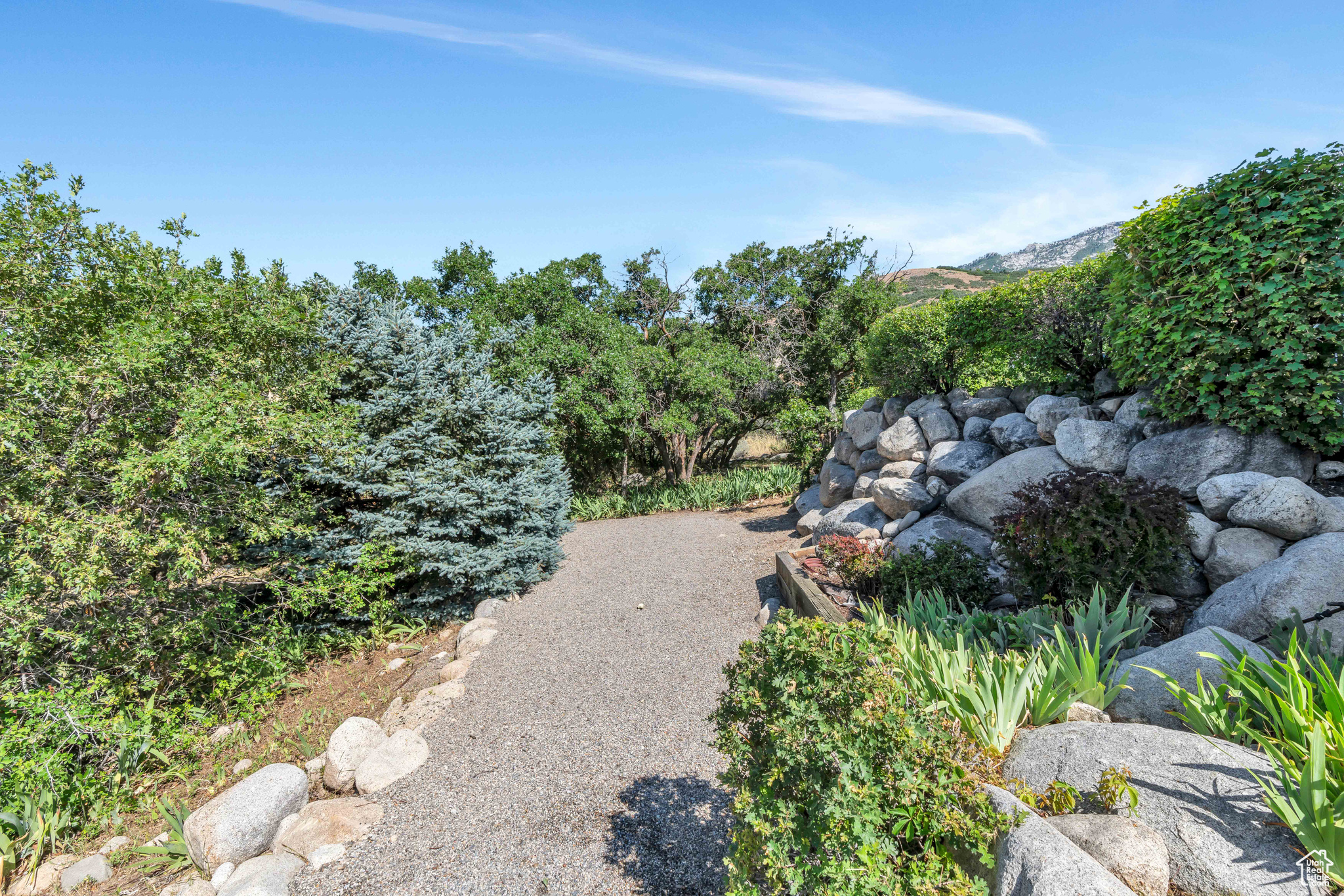 4251 ALPINE COVE DR