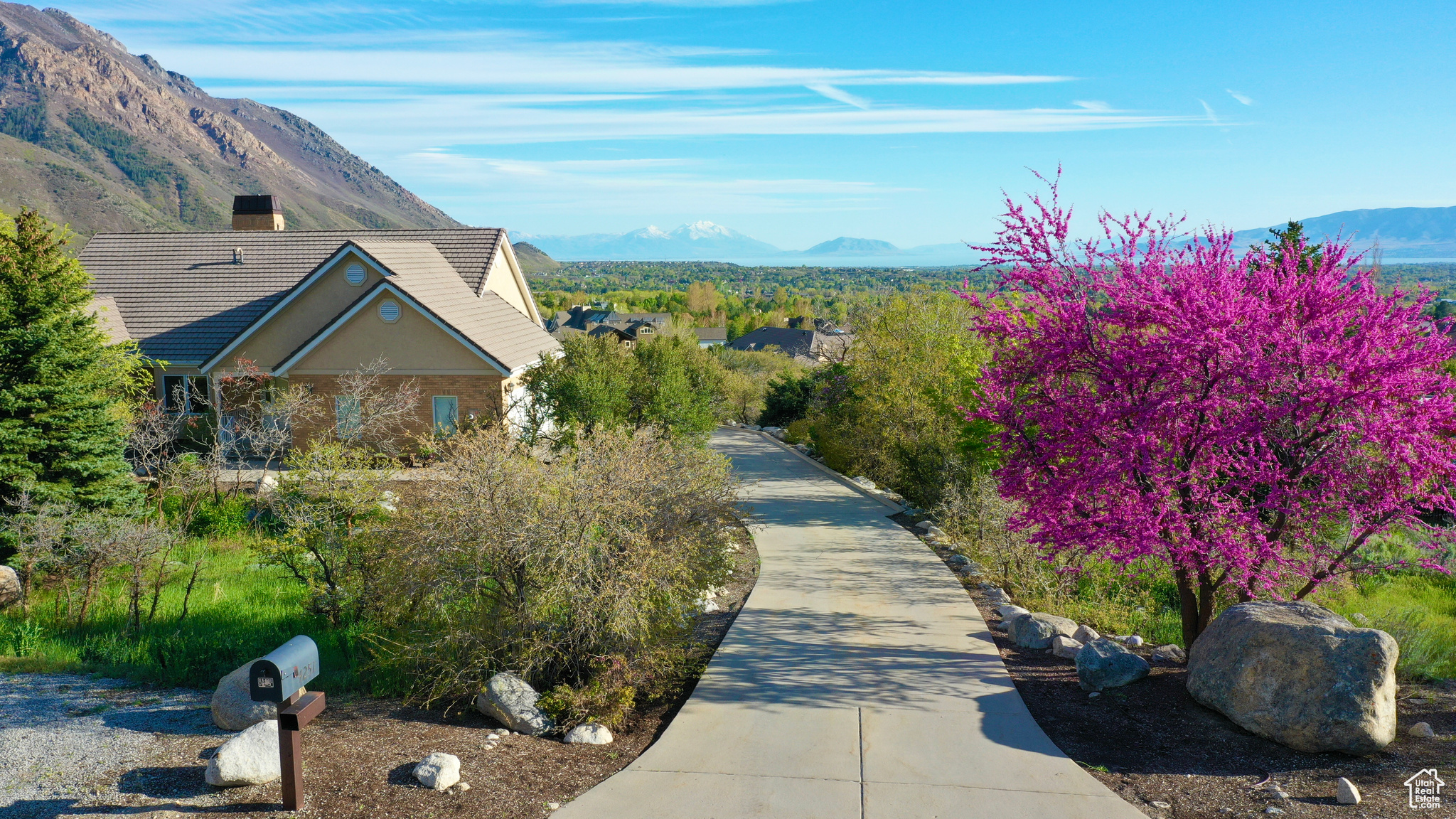 4251 ALPINE COVE DR