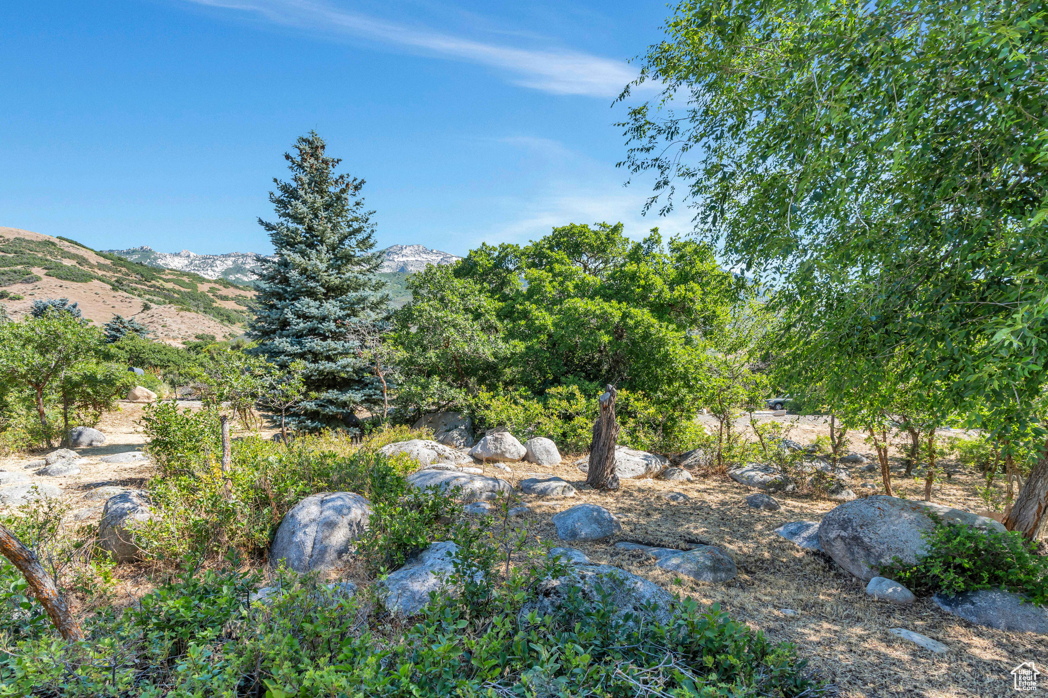 4251 ALPINE COVE DR