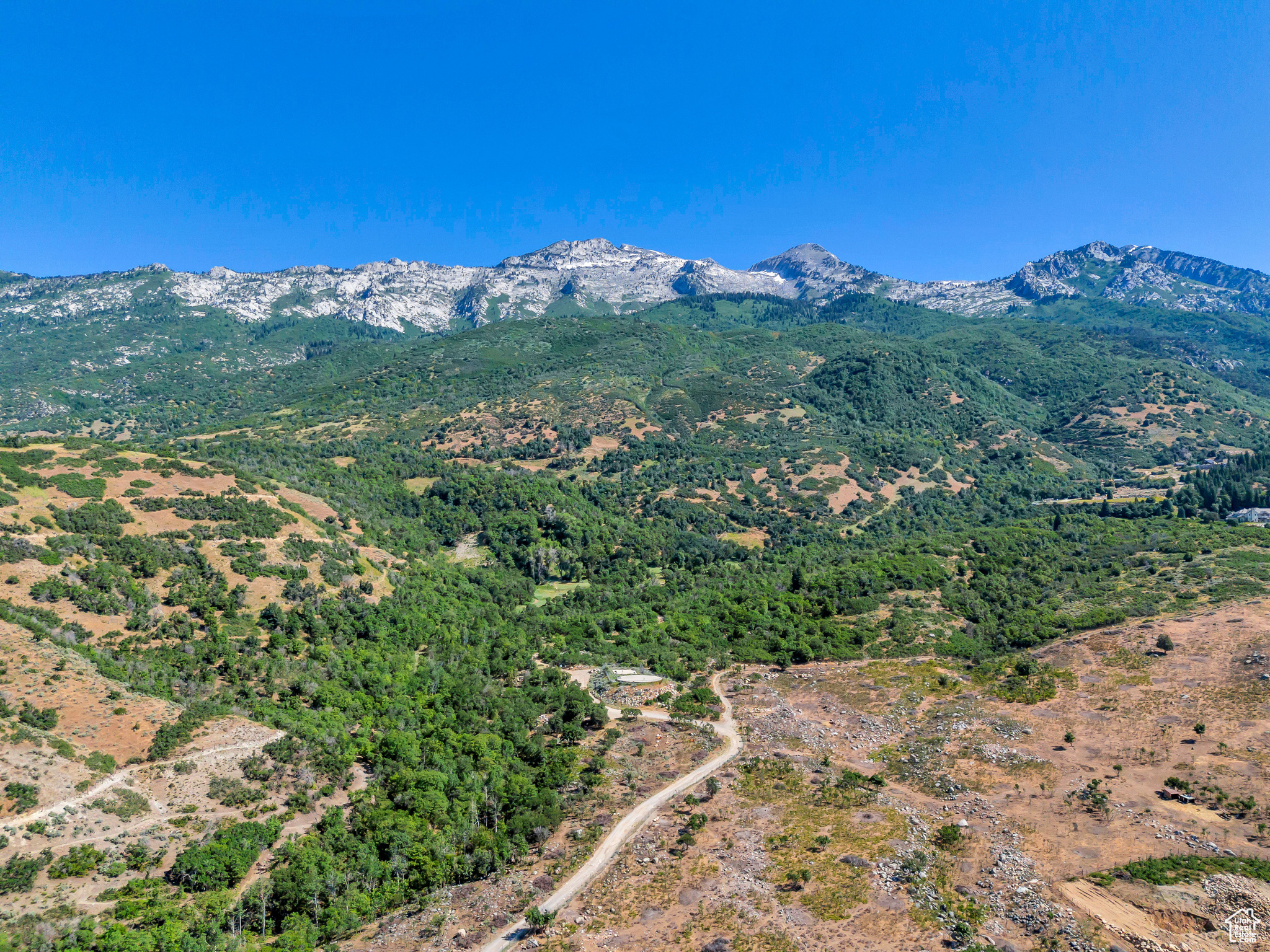 4251 ALPINE COVE DR